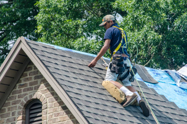 Best Roof Gutter Cleaning  in Carrollton, TX